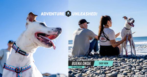 Adventure-Ready Gear for Every Pack